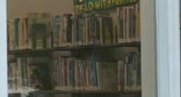 Effingham Co. Library board meets day after unanimous vote
