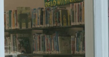 Effingham Co. Library board meets day after unanimous vote