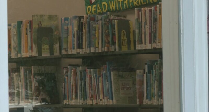 Effingham Co. Library board meets day after unanimous vote