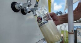 Experience authentic German traditions at Casselberry’s Oktoberfest