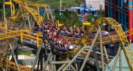 Family of man who died on Stardust Racers demands its closure after new reports of malfunction