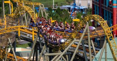 Family of man who died on Stardust Racers demands its closure after new reports of malfunction