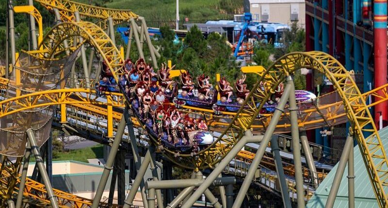 Family of man who died on Stardust Racers demands its closure after new reports of malfunction