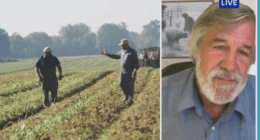 Farmer blasts Trump's plan to dole out tariff revenue: 'Comical'