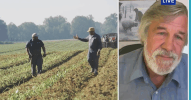 Farmer blasts Trump's plan to dole out tariff revenue: 'Comical'
