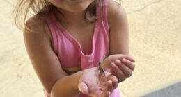 Father of 3-year-old girl kidnapped in Alabama counting the days until her return