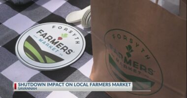 Federal shutdown pauses SNAP doubling program at Forsyth Farmers Market