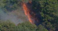 Firefighters are working to control a bushfire that is threatening properties in a community in Brisbane's north-west.﻿