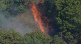 Firefighters are working to control a bushfire that is threatening properties in a community in Brisbane's north-west.﻿