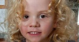 Missing four-year-old Gus