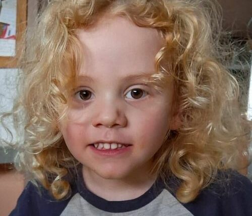 Missing four-year-old Gus
