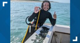 Florida crew finds $1M in treasure from 1700s shipwrecks