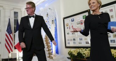 Food Fight! Dems Turn on Each Other As Married MSNBC Hosts Throw Down Over Schumer Shutdown