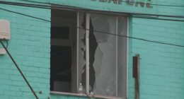 A shattered window in Sydney's inner-west after an alleged shooting