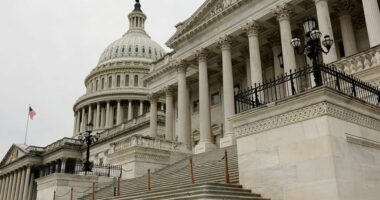 Furloughed fed workers aren't entitled to back pay: WH memo