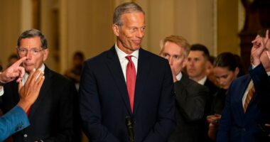 GOP senators worry Trump is undercutting their shutdown strategy