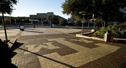 Gender identity debate grows amid academic freedom concerns