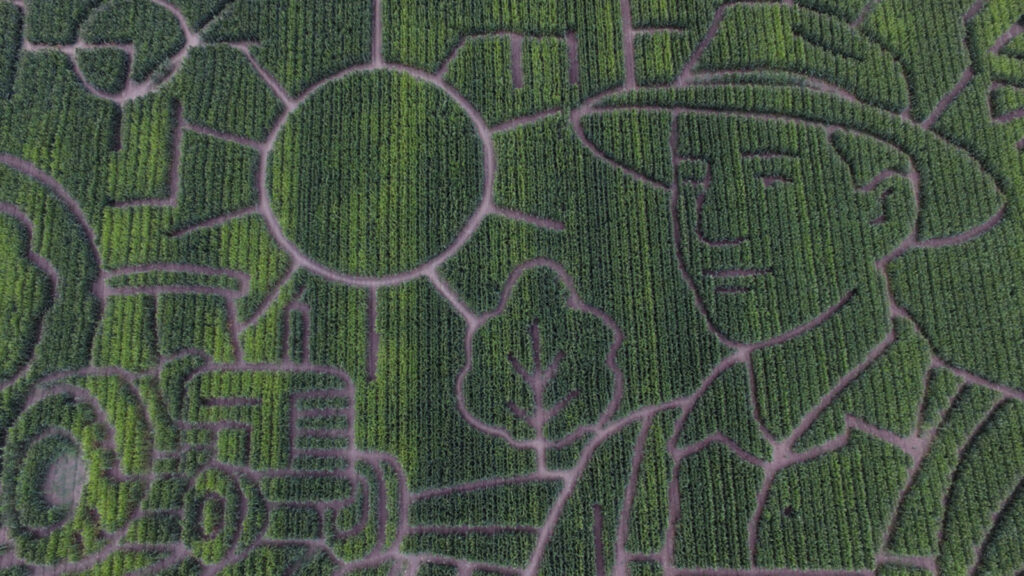 Giant Northern California along I-80 corn maze celebrates farmers, lets visitors enjoy getting lost