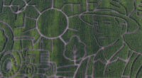 Giant Northern California along I-80 corn maze celebrates farmers, lets visitors enjoy getting lost