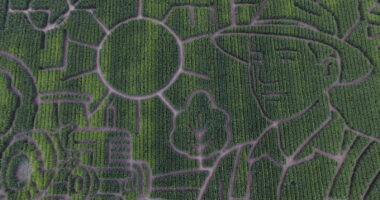 Giant Northern California along I-80 corn maze celebrates farmers, lets visitors enjoy getting lost