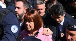 Gisele Pelicot is mobbed outside court as she once again faces one of her rapists as he appeals conviction, insisting he thought she wanted strangers to have sex with her while drugged