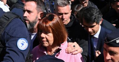 Gisele Pelicot is mobbed outside court as she once again faces one of her rapists as he appeals conviction, insisting he thought she wanted strangers to have sex with her while drugged