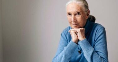 Goodall's influence spread far and wide. Those who felt it are pledging to continue her work