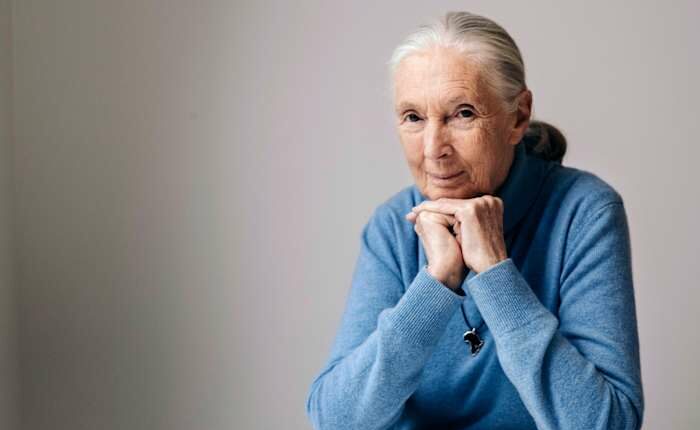 Goodall's influence spread far and wide. Those who felt it are pledging to continue her work