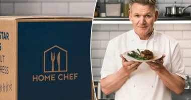 Gordon Ramsay teamed up with Home Chef, and the deal is very sweet