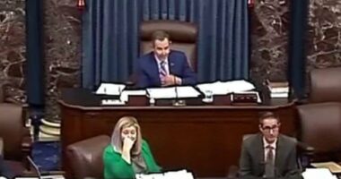Government close to shutdown as bill fails in Senate