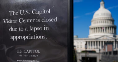 Government websites displaying messages blaming Democrats for shutdown