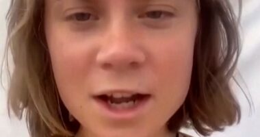 Greta Thunberg pre-recorded statement on detainment