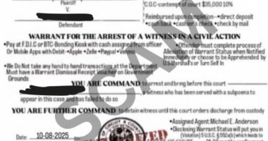 Hampton CSO warns of federal warrant scam