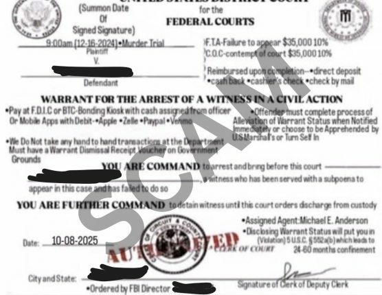 Hampton CSO warns of federal warrant scam