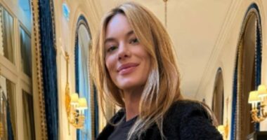 Harry Styles' ex Camille Rowe is pregnant! Victoria's Secret model who inspired his song Cherry is expecting her first child with billionaire Guinness heir
