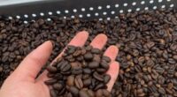 Hawaii woman arrested over mislabeled Kona Coffee