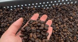 Hawaii woman arrested over mislabeled Kona Coffee