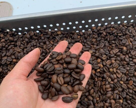 Hawaii woman arrested over mislabeled Kona Coffee