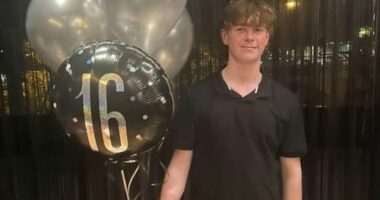 Levi had just turned 16 and gotten his learner driver's licence.