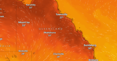 Brisbane temperature