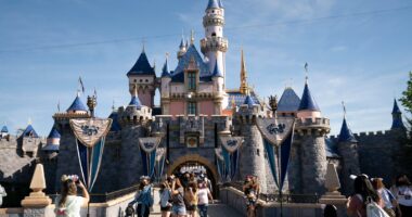 How to make the most of a trip to Disneyland while sticking to a budget