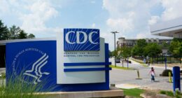 How will health services be impacted by the government shutdown?