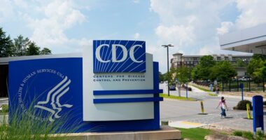 How will health services be impacted by the government shutdown?