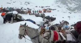 Hundreds of hikers rescued from Mount Everest after severe snowstorm