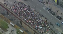 Hundreds protest ICE and federal agents in downtown Chicago