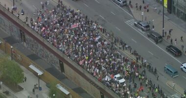 Hundreds protest ICE and federal agents in downtown Chicago