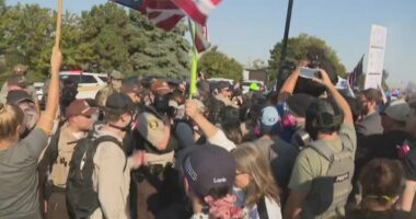 ICE Chicago actions 'not striking the proper balance': Former Illinois GOP chair