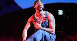 ICE agents set to descend on Super Bowl after 'massive Trump hater' Bad Bunny named as halftime show