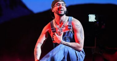 ICE agents set to descend on Super Bowl after 'massive Trump hater' Bad Bunny named as halftime show