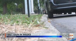Illinois climatologist: Rain won't change drought conditions